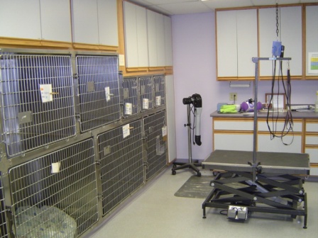 Grooming Room